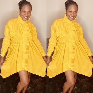 Ruffled sleeve and collar dress